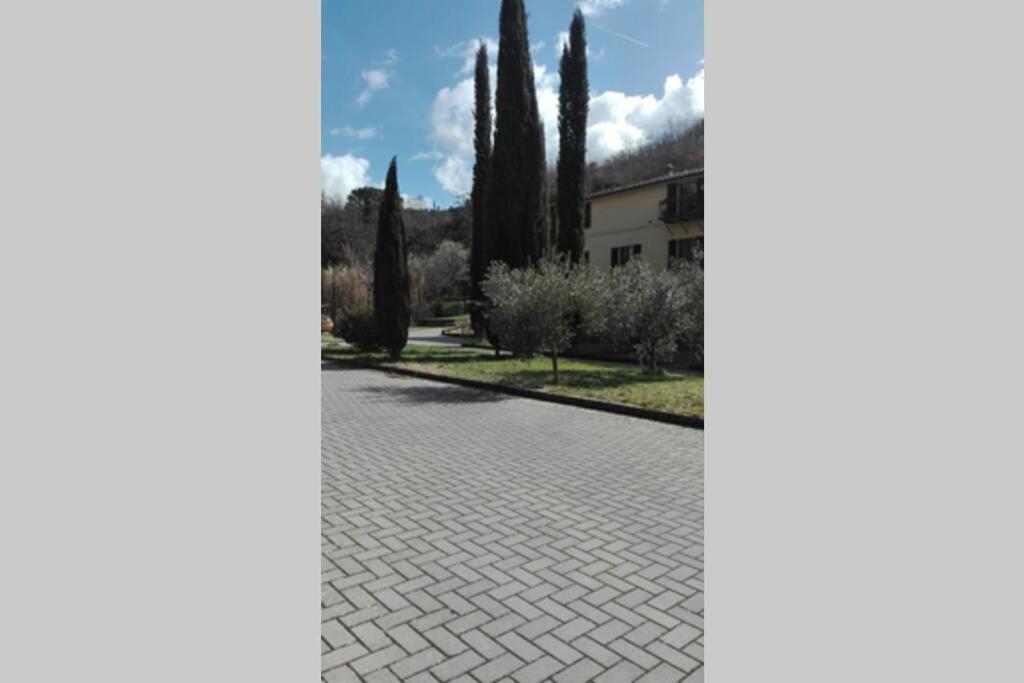 Апартаменты Casazappa - In Centro A Piedi, Parcheggio E Giardino Privato Сиена Экстерьер фото